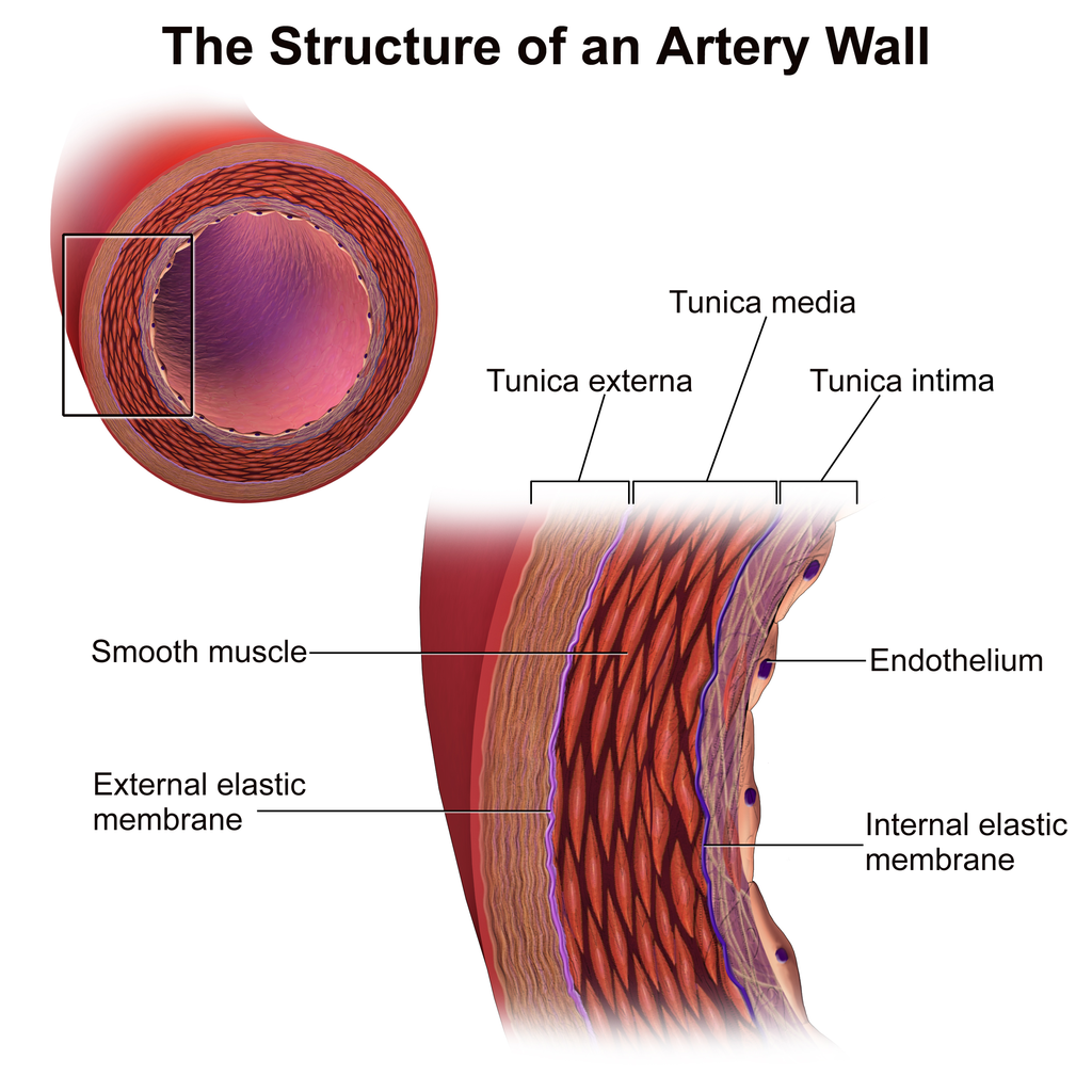 Structure of a vessel