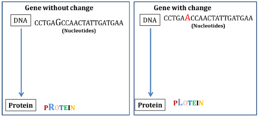 Punctual mutations