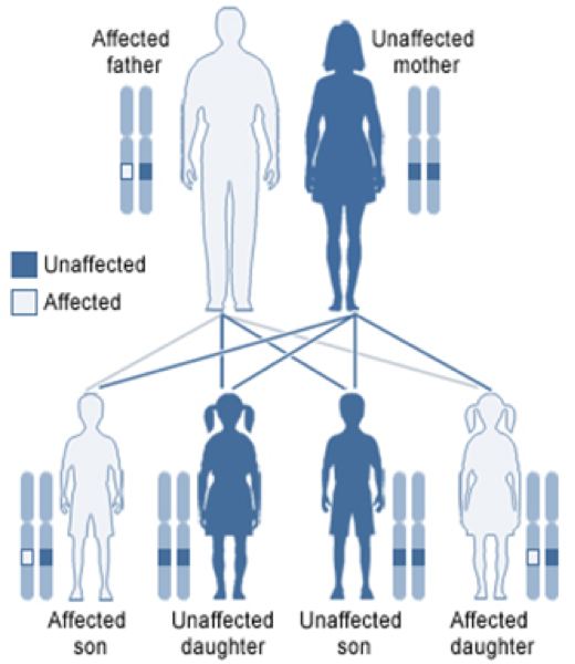 Autosomal dominant inheritance. Wikimedia