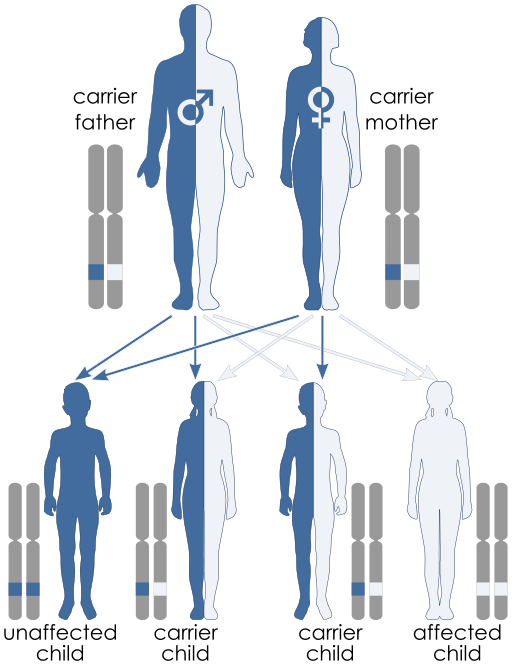 Autosomal recessive