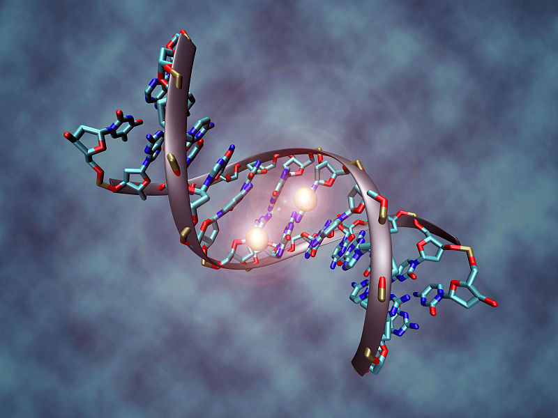 DNA METHYLATION