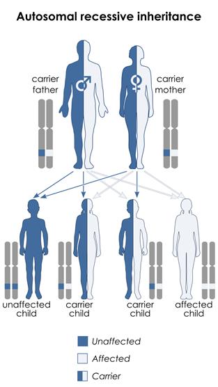 Autosomal recessive