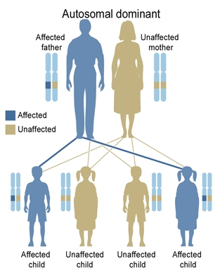 Autosomal dominant inheritance