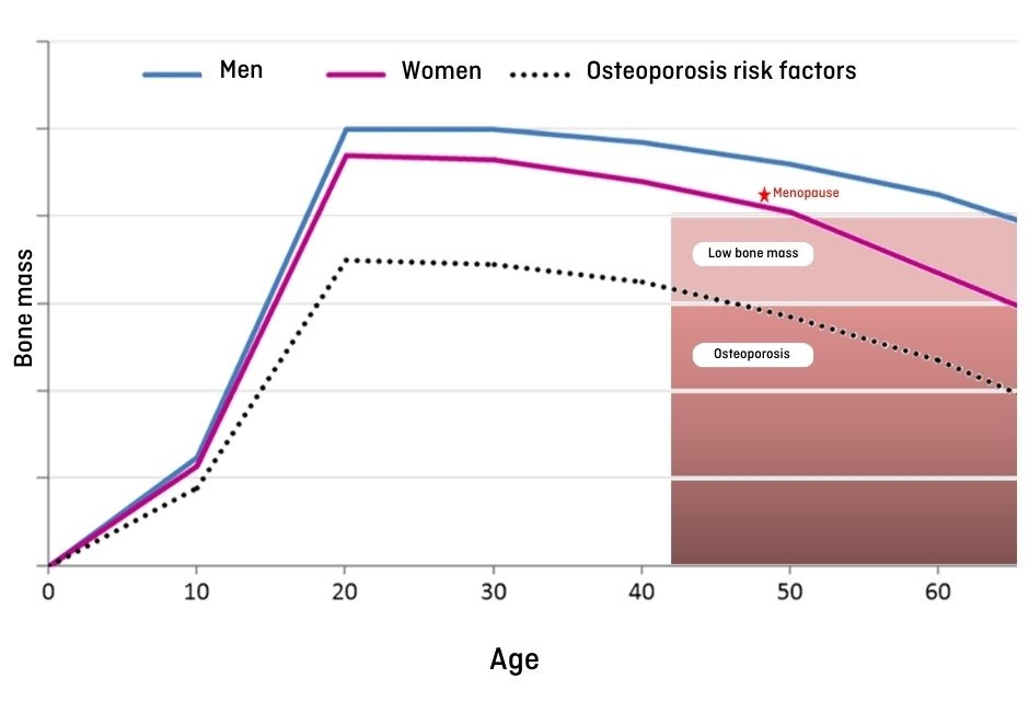 Bone mass