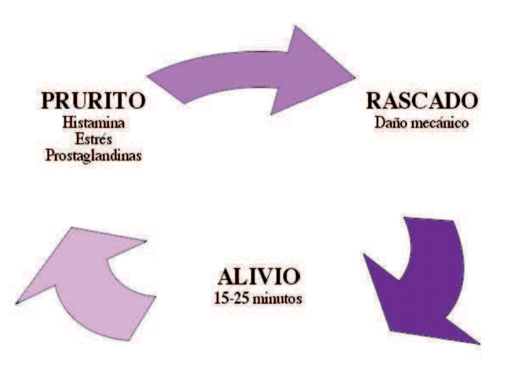 Círculo vicioso del rascado-picor