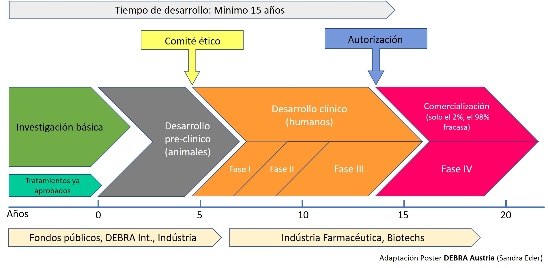 Fases de la investigación biomédica