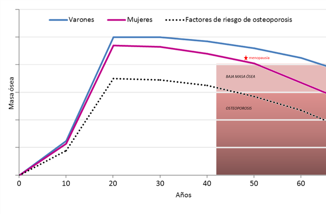 Curva de masa ósea en varones y mujeres