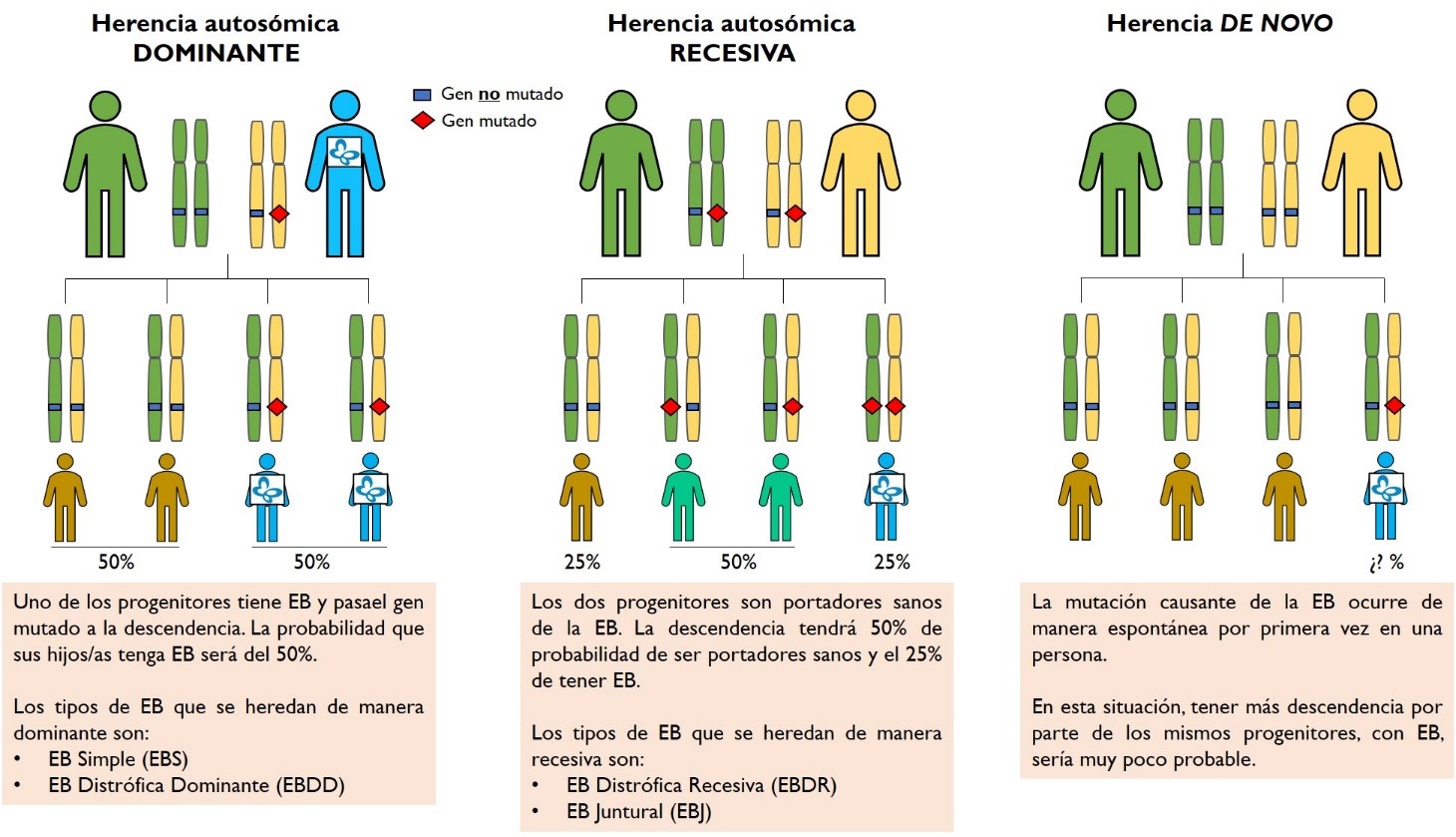 Tipos de herencia