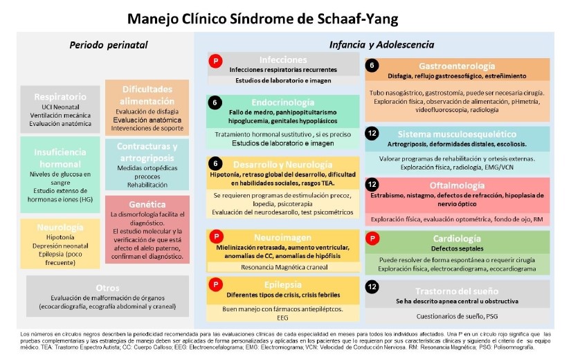Guía síndrome de Schaaf-Yang