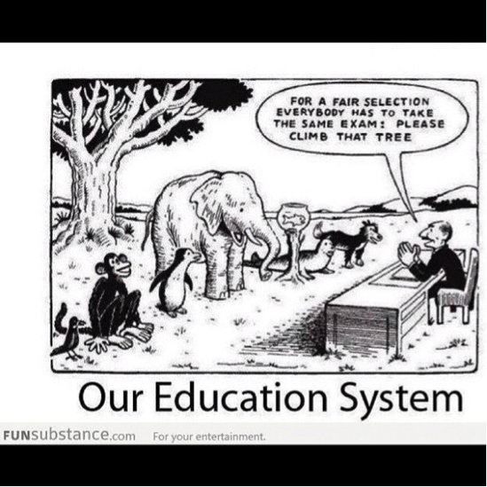 Our Education System