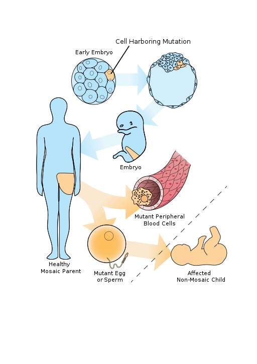 Mosaicism