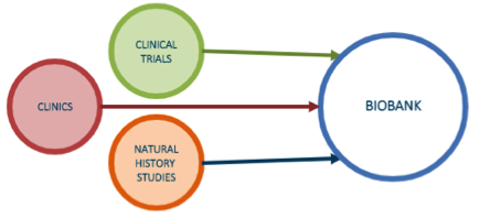 Types of research MRC biobank