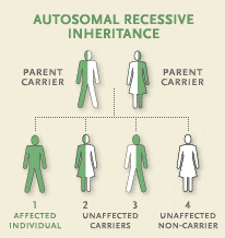 Recessive inheritance