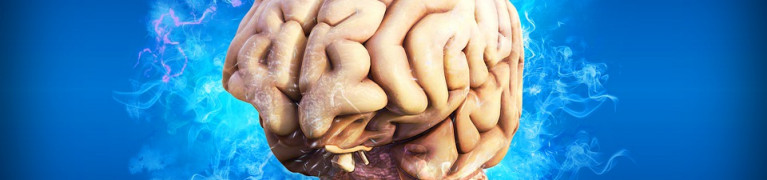 Brain Brain