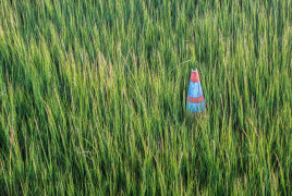 Green grass an a plastic cone