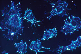 Cancer cells