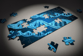 Puzzle genome