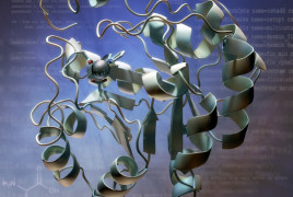 Protein 3D Structure