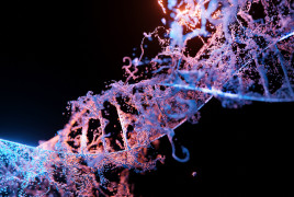 Genes ADN