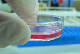 Cultivo celular laboratorio