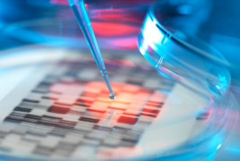 PCR genética pipeta placa gen