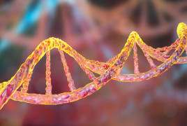 Gen ADN diagnóstico
