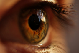 ojo marrón pupila iris pestañas mujer