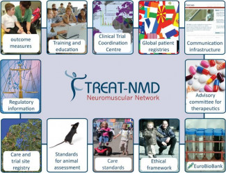 The TREAT-NMD neuromuscular network TREAT-NMD network