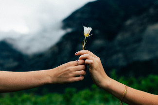 Somebody handling a flower to somebody else