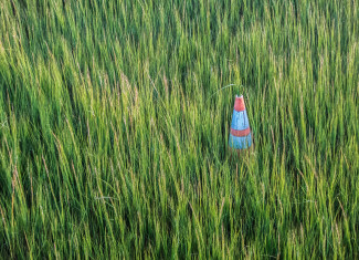 Green grass an a plastic cone