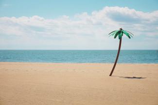 Fake palm tree on a beach