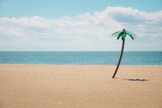 How to detect and tackle pseudoscience Fake palm tree on a beach