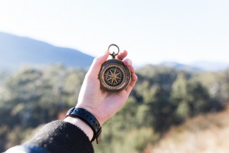 Hand compass field