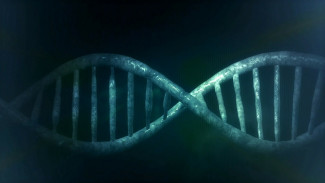 Gene therapy and Duchenne Gene therapy and Duchenne