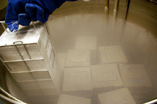 Frozen samples at a biobank
