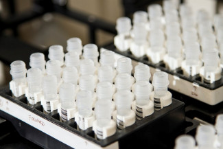 Sample lab tubes in a rack