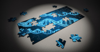 Puzzle genome Puzzle genome