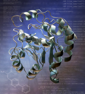 Protein 3D Structure