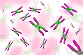 Cromosomas 