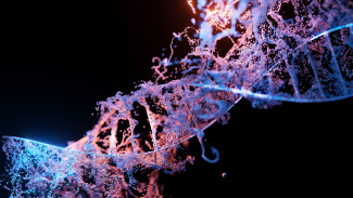Genes ADN