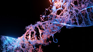 Genes ADN Genes ADN