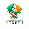 logo_stxbp1