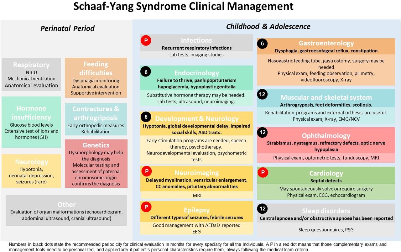 SYS clinical guidelines